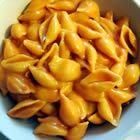 Easy Shells