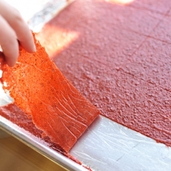 Homemade Fruit Leather