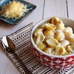 Shells with Cheese