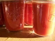 Homemade Catsup