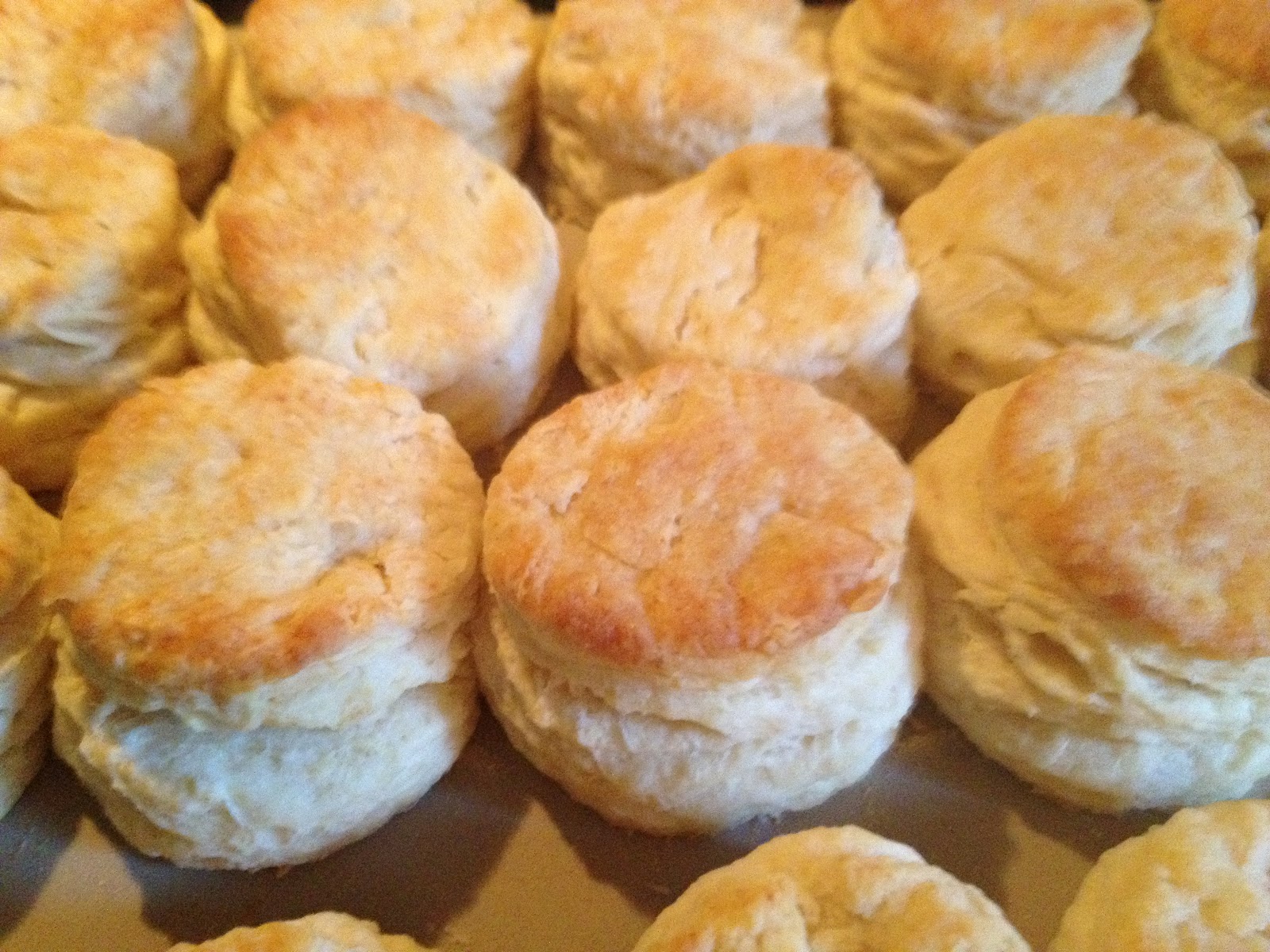 Basic Breakfast Biscuits