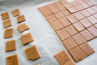 Homemade Wheat Thins (1)