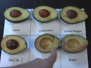 Best way to save an Avocado
