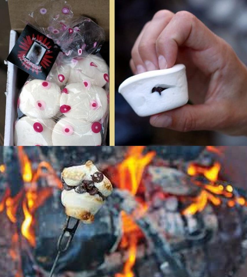 Stuff Marshmallows BEFORE you roast em