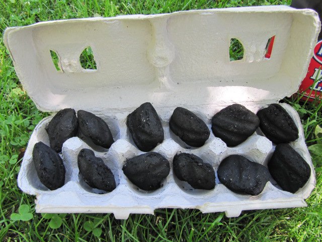 Use an Egg carton to start your coals