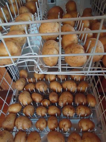 Wash Potatoes in the dish washers