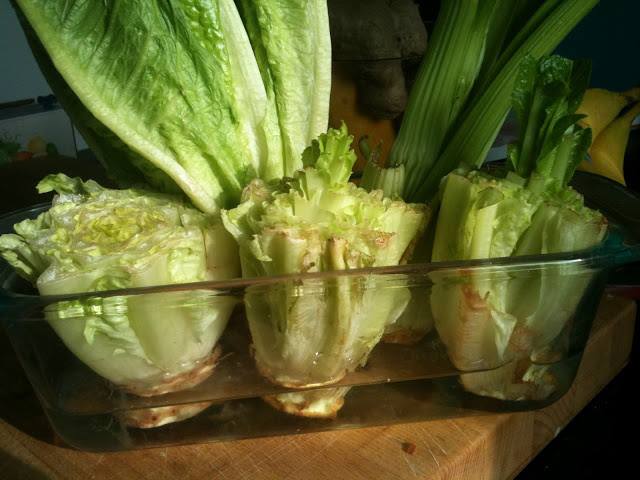 Regrow Romaine Lettuce