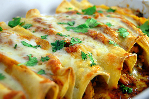 Best Chicken Enchiladas