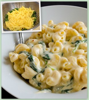 Yogurt Mac and Cheese