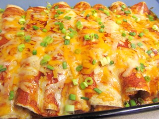 Creamy Cheesy Chicken Enchiladas